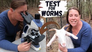 How To Check Your Goats Or Sheep For Worms  How To Run A Fecal Test For Parasites [upl. by Nnylhtak]