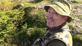 Moose Hunting Newfoundland with DADG MacDonald OutfittersVideo Merge 9 [upl. by Studner]