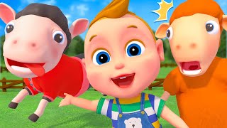 Baa Baa Black Sheep Song  Baby SumoCoco Nursery Rhymes amp Kids Songs [upl. by Ahsened383]