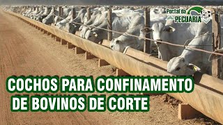 Cochos para confinamento de bovinos de corte [upl. by Boccaj]