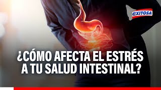 🔴🔵quotPrimero tu saludquot ¿Cómo afecta el estrés a tu salud intestinal [upl. by Sokul]