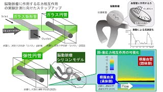 偏光計測による血液と血管の応力相互作用の可視化 [upl. by Ignacio]