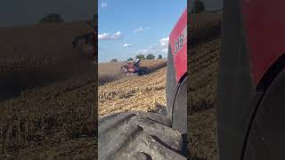 farming agriculture combine harvest caseih [upl. by Mariann]