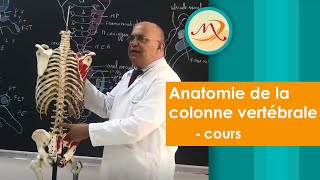 Anatomie de la colonne vertébrale cours [upl. by Nodearb]