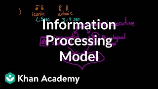 Information processing model Sensory working and long term memory  MCAT  Khan Academy [upl. by Tezile]