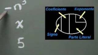 Introducción al Algebra  Definición de Término [upl. by Esirahs]