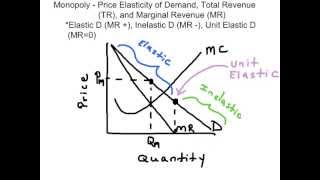 Elasticity of Demand amp Marginal Revenue [upl. by Airlie]