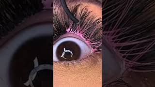 Lash Extensions Pink beauty [upl. by Yrnehnhoj183]