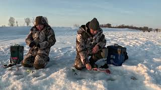 Рыбалка на р Меша д Караишево 17 0324 [upl. by Lanni449]