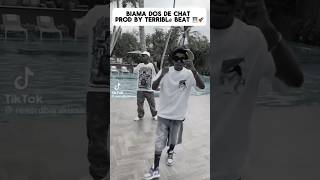 Renard Barakissa dos de chat Prod by TERRIBLÉ BEAT [upl. by Anema]