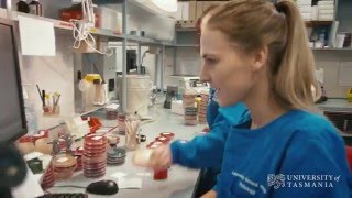 What does a microbiologist do  University of Tasmania [upl. by Remsen]