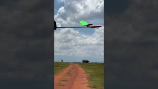 DLG RC glider landing [upl. by Zapot]