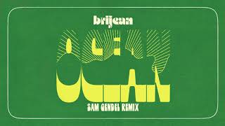 Brijean  Ocean Sam Gendel Remix [upl. by Eruza]