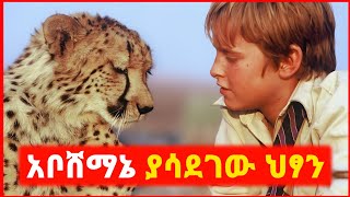 🔴 ቤት ውስጥ የአቦሸማኔ ያሳደገው ህፃን  film wedaj  mert film  ምርጥ ፊልም  sera film [upl. by Filberte600]