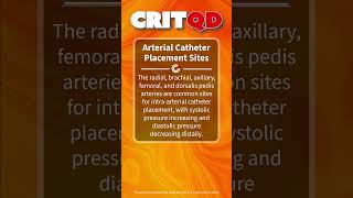 Arterial Catheter Placement Sites [upl. by Jobi103]