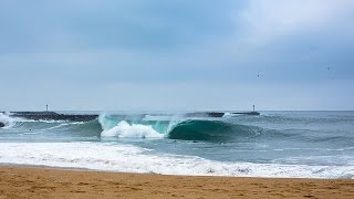 Surfline Live Replay The Wedge [upl. by Olivette]