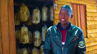 ECOSOLUTIONS  MUSHROOM FARMING IN ZIMBABWE [upl. by Rihaz]