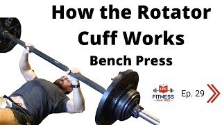 How the Rotator Cuff Works During Bench Press  Supraspinatus Infraspinatus Subscapularis FPF E29 [upl. by Hemminger]