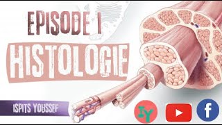 Episode 1HistologieLe tissu épithélial [upl. by Sonafets]