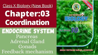 Ch3 Coordination  Pancreas adrenal gland gonads  Class 10 New biology book  Sindh board [upl. by Eilahtan]