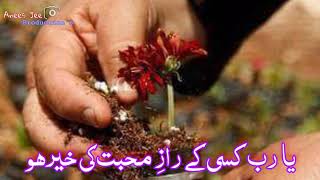 Kuch is Ada Se Aj Woh  Abida Parveen  Whatsapp Status  Sufi Status  Qawwali Status  Legend [upl. by Hcra830]