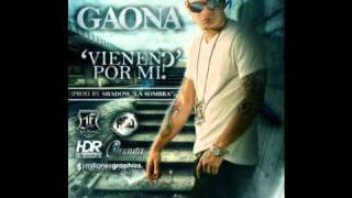 Gaona  Vienen Por Mi  Full Records [upl. by Miharba]