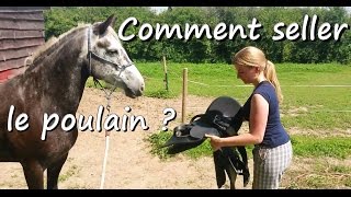 Comment seller le poulain   Débourrage de Clémence partie 6 [upl. by Assenal135]