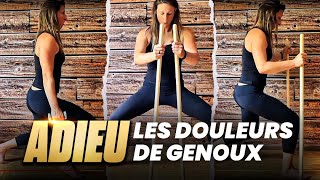 🦵RENFORCEMENT MUSCULAIRE adapté GENOU douloureux avec progressions [upl. by Htnicayh]