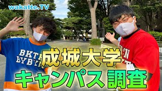 有名人学校という噂は本当だった！成城大学キャンパス調査！【wakatte TV】570 [upl. by Norine]