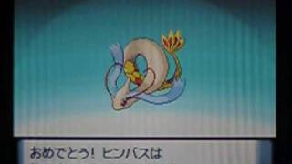 ポケモンDPt 色違いミロカロスへ進化 Pokemon DPt Shiny Feebas evolves to Milotic [upl. by Johm]