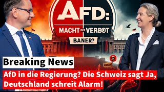 AfD in die Regierung Die Schweiz sagt Ja Deutschland schreit Alarm deutschland afd [upl. by Rheims]