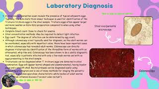 Trichuris Trichiura [upl. by Llet]