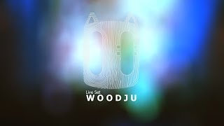 WOODJU liveset  Abstrasension festival SaintPetersburg 230515 [upl. by Bremser]