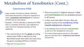 Xenobiotics metabolism [upl. by Wake]