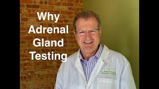 Why Adrenal Glands Are Important [upl. by Notxarb]