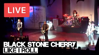 Black Stone Cherry  Like I Roll Live in HD  HMV Forum London 2012 [upl. by Lomasi]