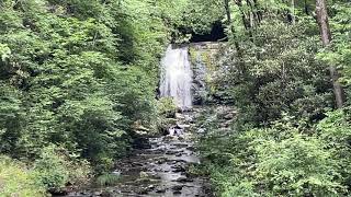 Meigs Falls amp The Little River  Great Smoky Mountains National Park 62024 [upl. by Htial]