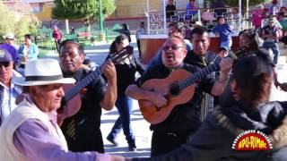 LOS MANANTIALES DEL PERU Wifalaycamusun Carnaval Ayacucho [upl. by Tuppeny]