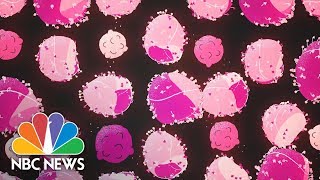 How Flu Strains Get Their Names  NBC News [upl. by Anauqat]