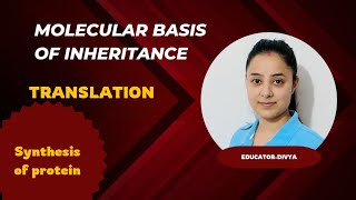 Translation  Molecular Basis of Inheritance  NEET 2024  Bio  NCERT [upl. by Ardella]