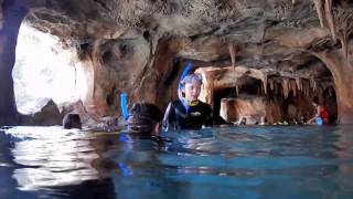 Inside Tips on Visiting Discovery Cove  Orlando FL [upl. by Lopes257]