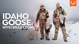 Idaho Goose with Brad Leone  Cal in the Field [upl. by Egres]