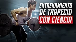 El mejor entrenamiento de trapecio  CIENTÍFICAMENTE COMPROBADO [upl. by Assenna]