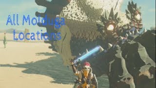 The Legend of Zelda Breath of the Wild All Molduga Locations [upl. by Iraj]