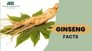 Ginseng Facts  Health Benefits amp Uses [upl. by Nyliahs]