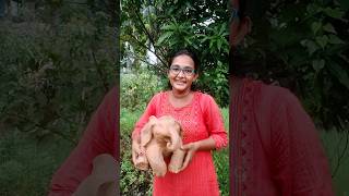 😊এই হাতিটিকে আজ রং করে দিলাম🐘 art clay pottery shorts viral minivlog [upl. by Tecil]