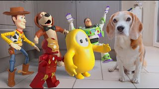 Dogs vs Real Life Animations Compilation  Funny Dogs Louie amp Marie [upl. by Eahsat155]