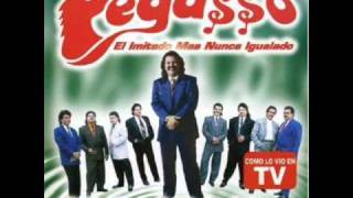 grupo pegasso yo comence la broma [upl. by Htelimay]