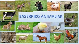 Baserriko animaliak [upl. by Anuqahs]