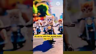 cute cat wish cutebaby cat cute catbaby ytshorts viralshorts lovestory moji trendingsong [upl. by Winebaum]